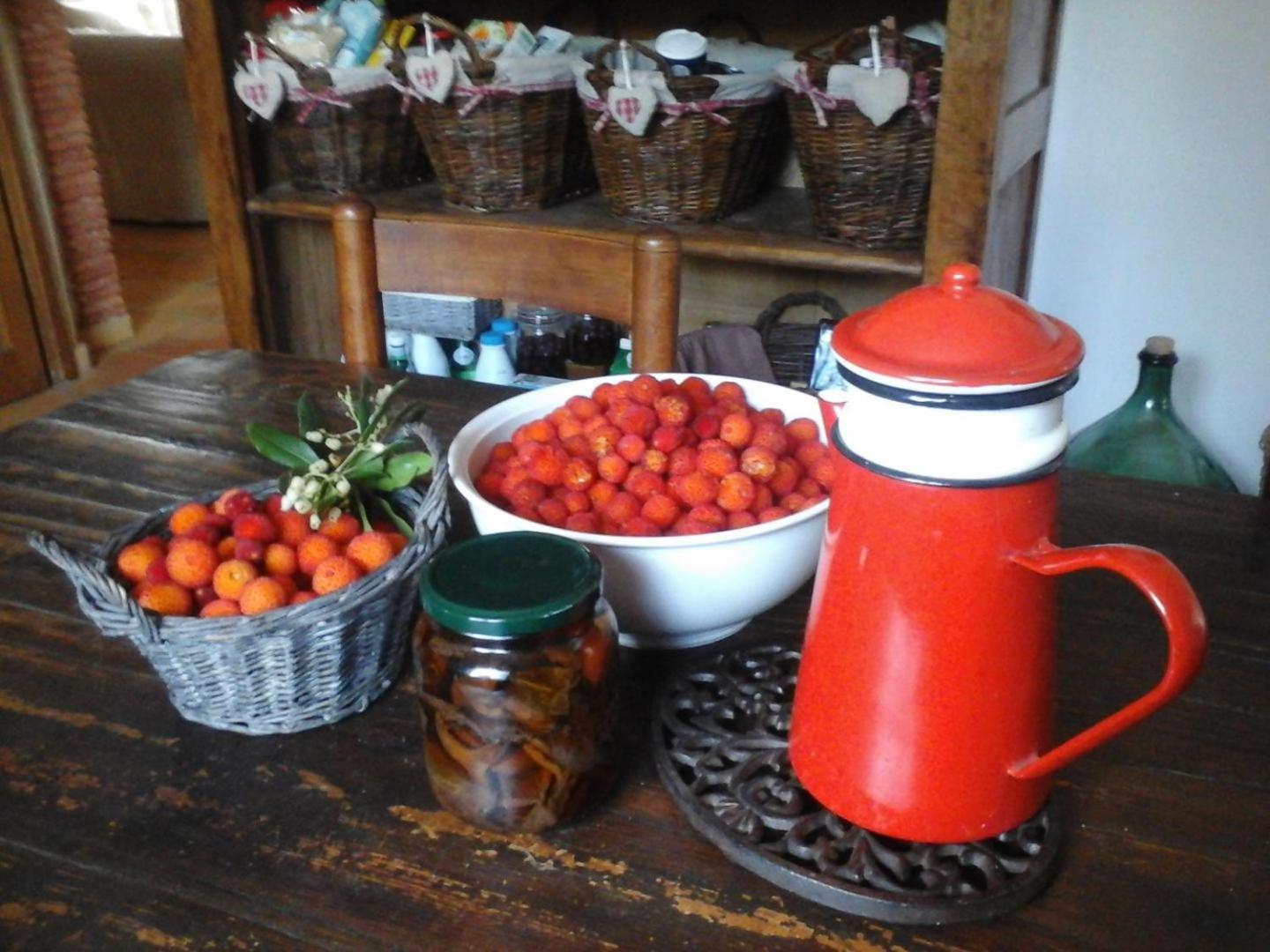 La Maison De Campagne Carcès Dış mekan fotoğraf