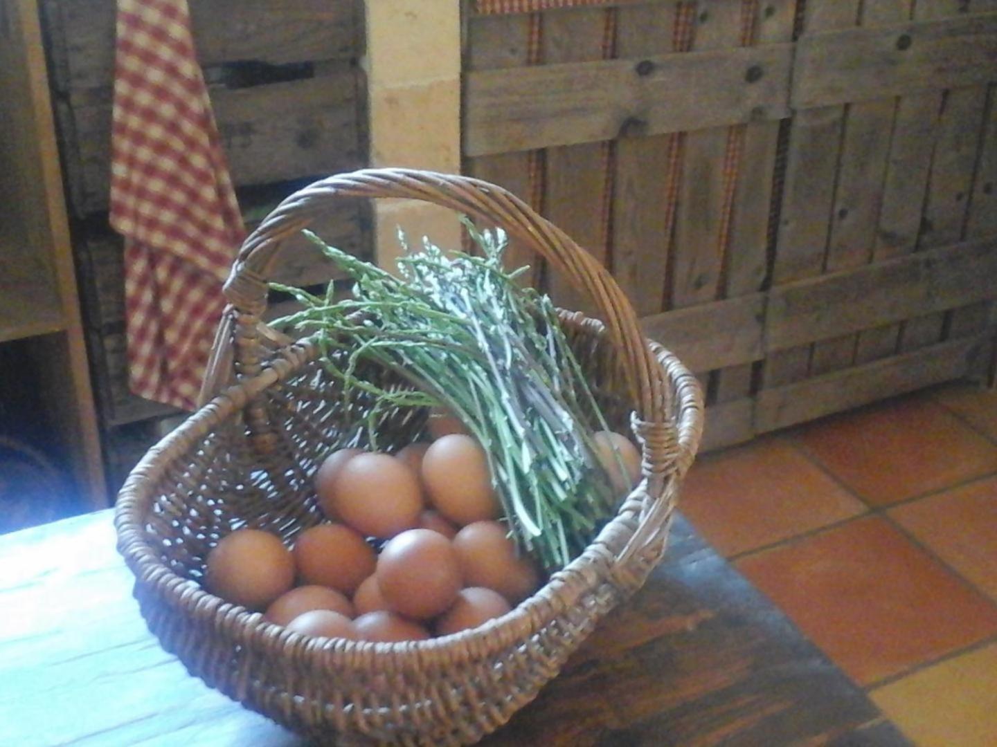La Maison De Campagne Carcès Dış mekan fotoğraf